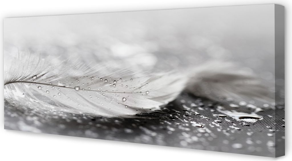 Leinwandbild 125x50 Wandkunst Tropfen Feder Makro
