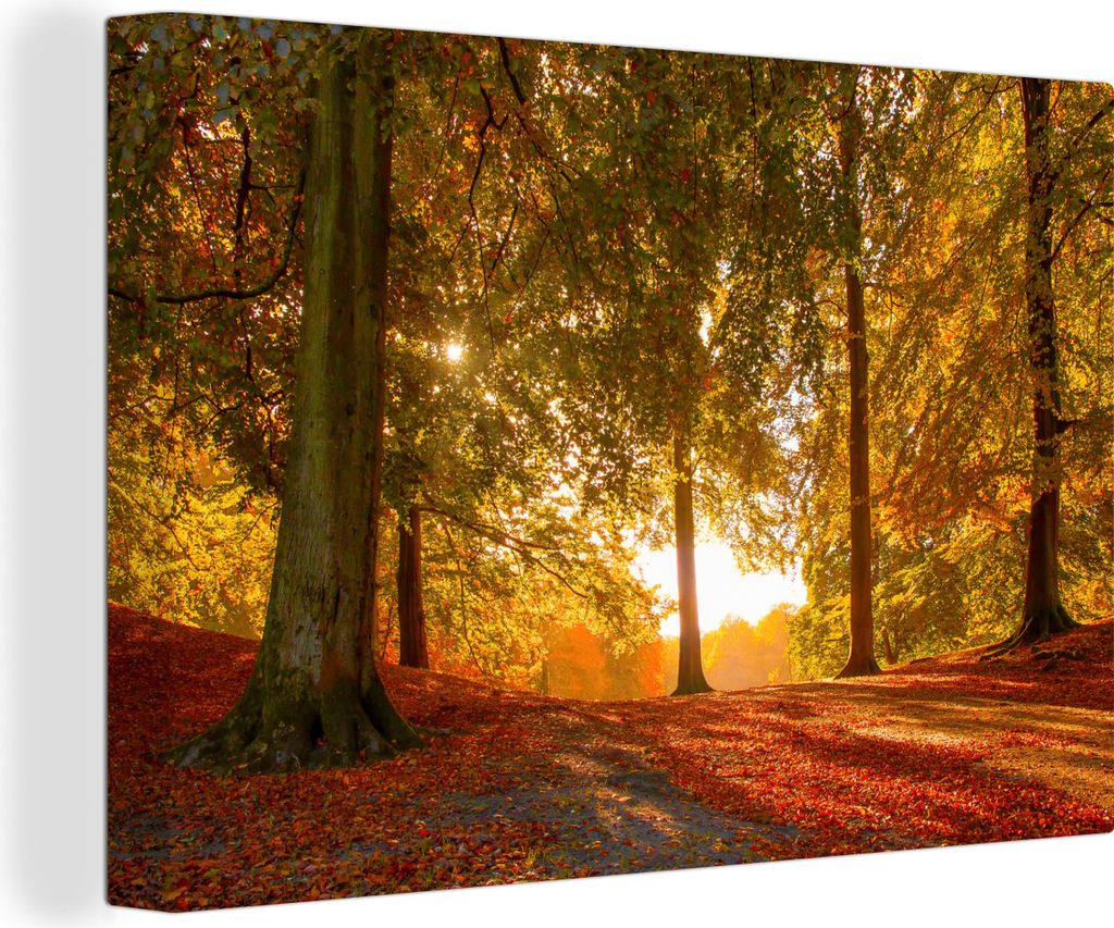 MuchoWow - Leinwandbilder - Herbst - Sonne - Wald, Wandbild, Wanddeko Bilder Wohnzimmer, 60x40 cm