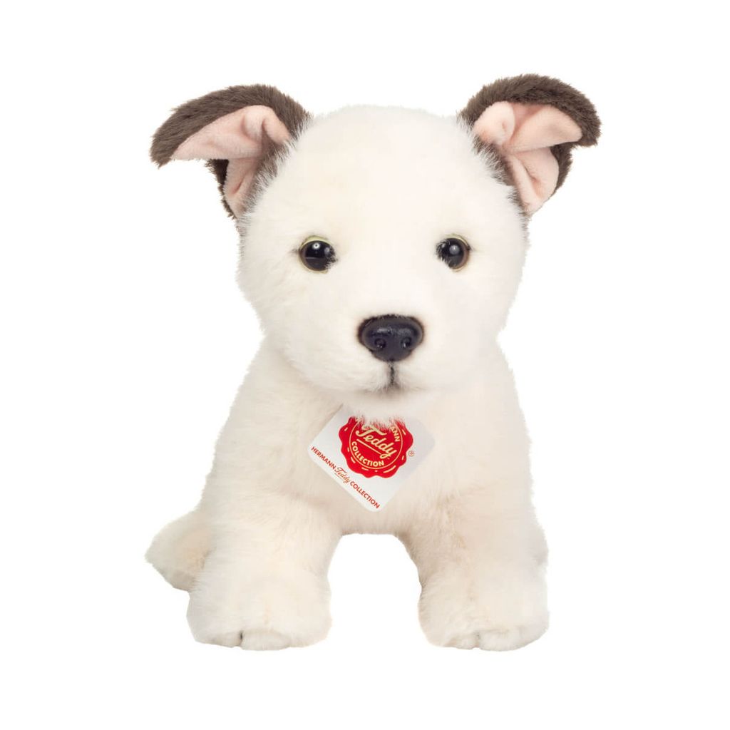 A plush toy dog sitting on a white background.