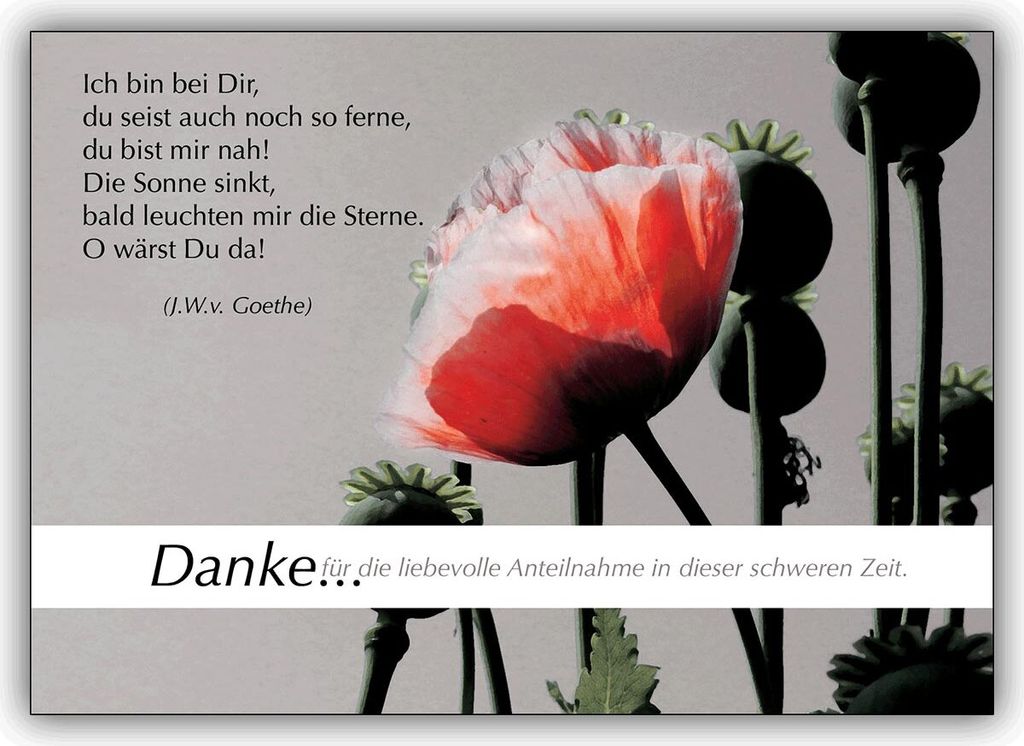 4x Elegante Trauer Dankeskarte: Danke für die liebevolle Anteilnahme in dieser schweren Zeit