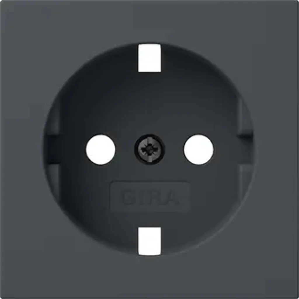 GIRA Couverture Système 55 Anthracite - Plaque de finition 021128 Gira