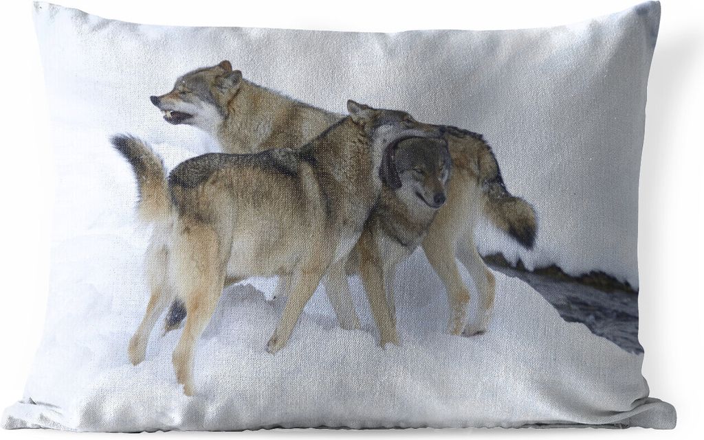 MuchoWow Outdoor Kissen - Wolf - Europa - Schnee - 50x30 cm - Wetterfest - Lounge Kissen - Sofa kissen - Wohnzimmer Dekoration