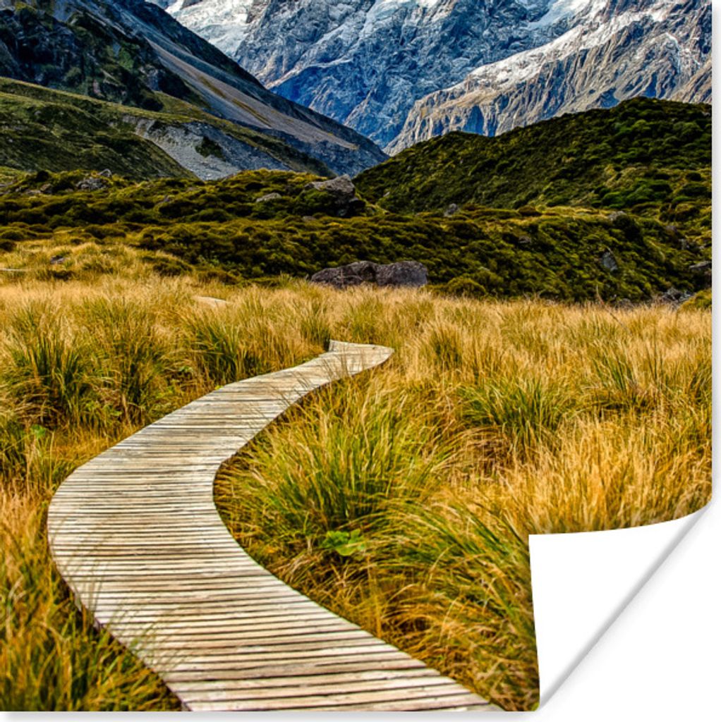 MuchoWow Poster Neuseeland - Kröte - Gras 30x30 cm - Wandposter - Printing