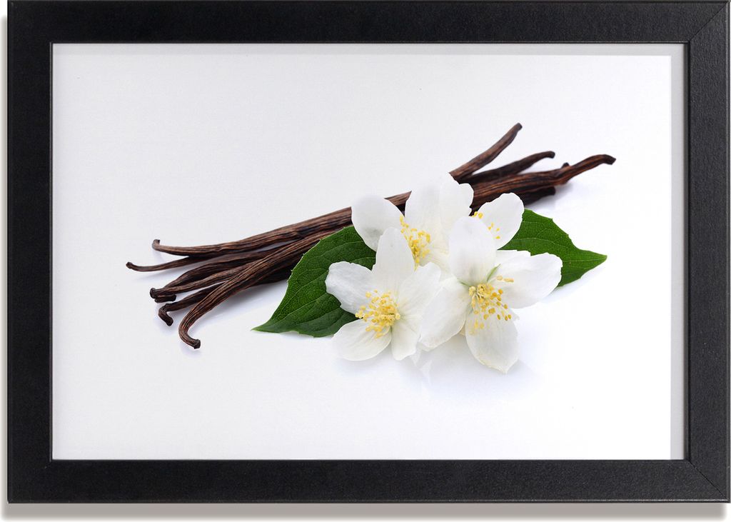 Bild 30x20 MDF-Rahmen, Wandkunst Jasmin und Vanille