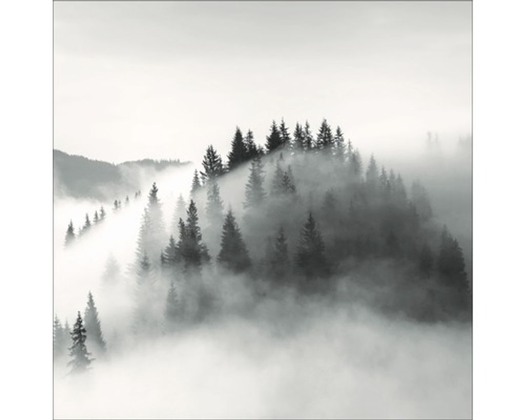 Glasbild Light White Trees 80x80 cm