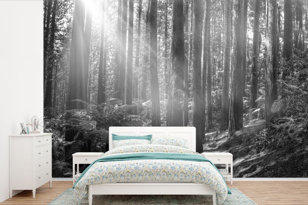 MuchoWow Fototapete für Wohnzimmer oder Schlafzimmer Wandtapete Vinyl Motivtapete Red Wood Forest - schwarz und weiß - 525x350 cm - Das Hinterg...