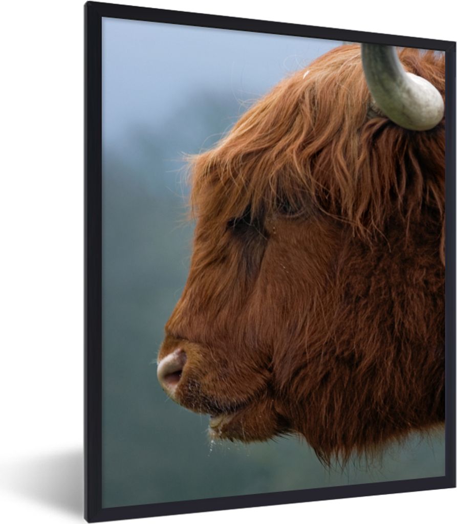 MuchoWow Gerahmtes Poster Schottische Highlander - Tiere - Nebel 60x80 cm - Poster mit Schwarzem Bilderrahmen Wandposter Rahmen Foto Bilder - Pre...