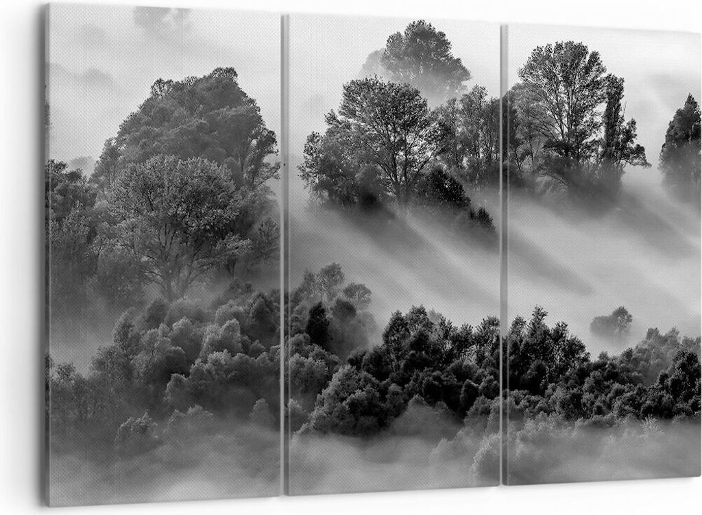 Bild auf Leinwand - Leinwandbild - 3 Teile - Schwarzweiß Bäume Nebel - 105x70cm - Wand Bild - Wanddeko - Wandbilder - Leinwanddruck - Bilder - Wa...