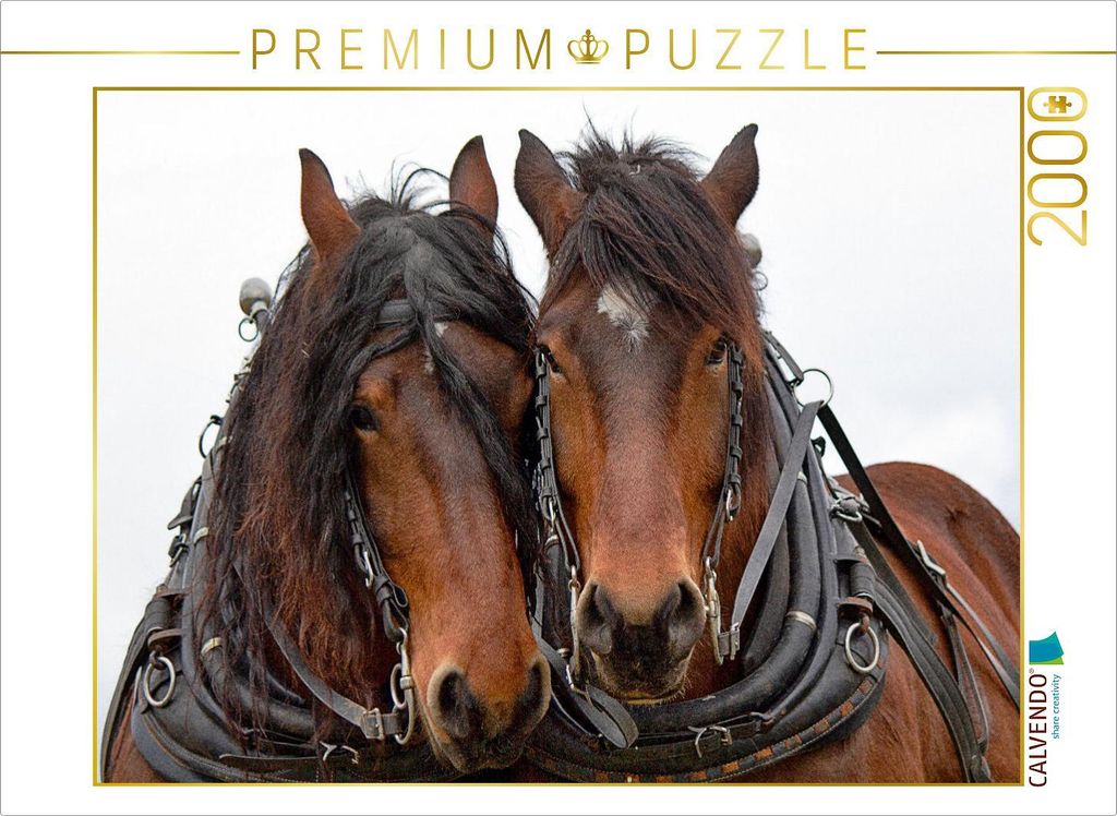 CALVENDO Puzzle Zugpferde bei der Arbeit 2000 Teile Puzzle quer | 2000 Teile Lege-Größe 90x67cm Foto-Puzzle für glückliche Stunden