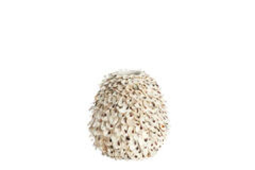 Light & Living, Vase UBATE Bambus+Muschel, crème+braun, Ø26x27 cm, 5739043