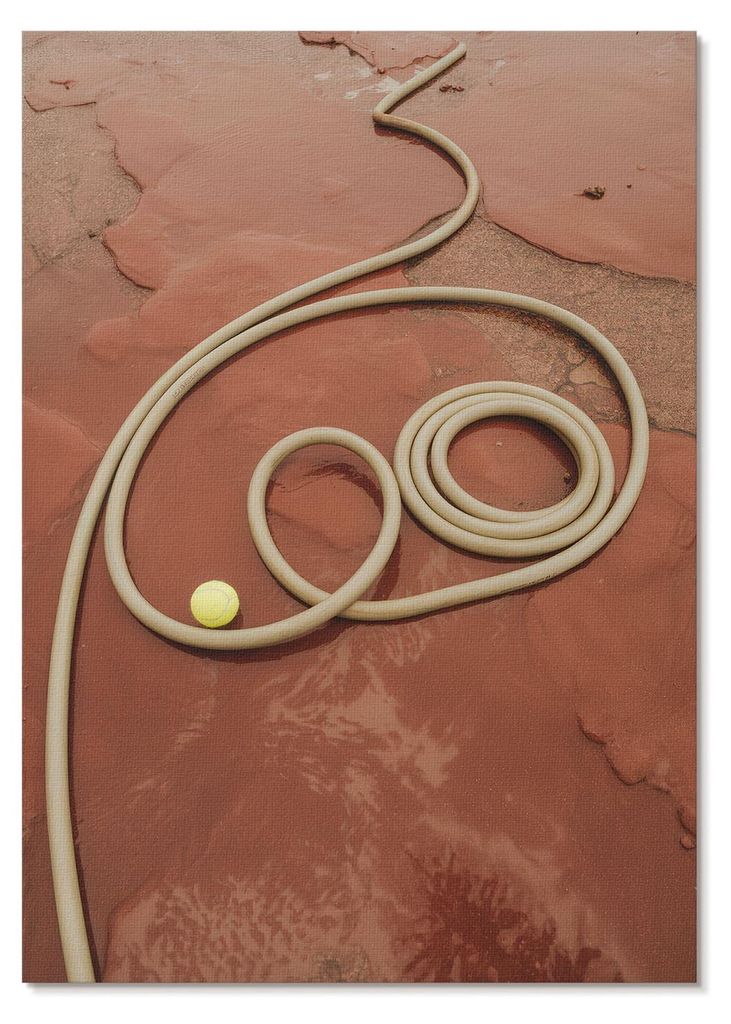 POSTER - 59x84 cm (A1) - Soft Structure - Intensiv roter Ballkontrast Gartenschlauch - Wandbild für Wohnzimmer Schlafzimmer & Flur, Modernes Poste...