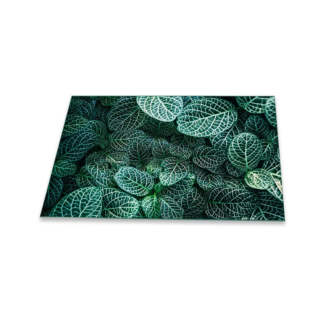 Copertura Piano Cottura 80x52 Verde Bosco - Vetro Temperato Design