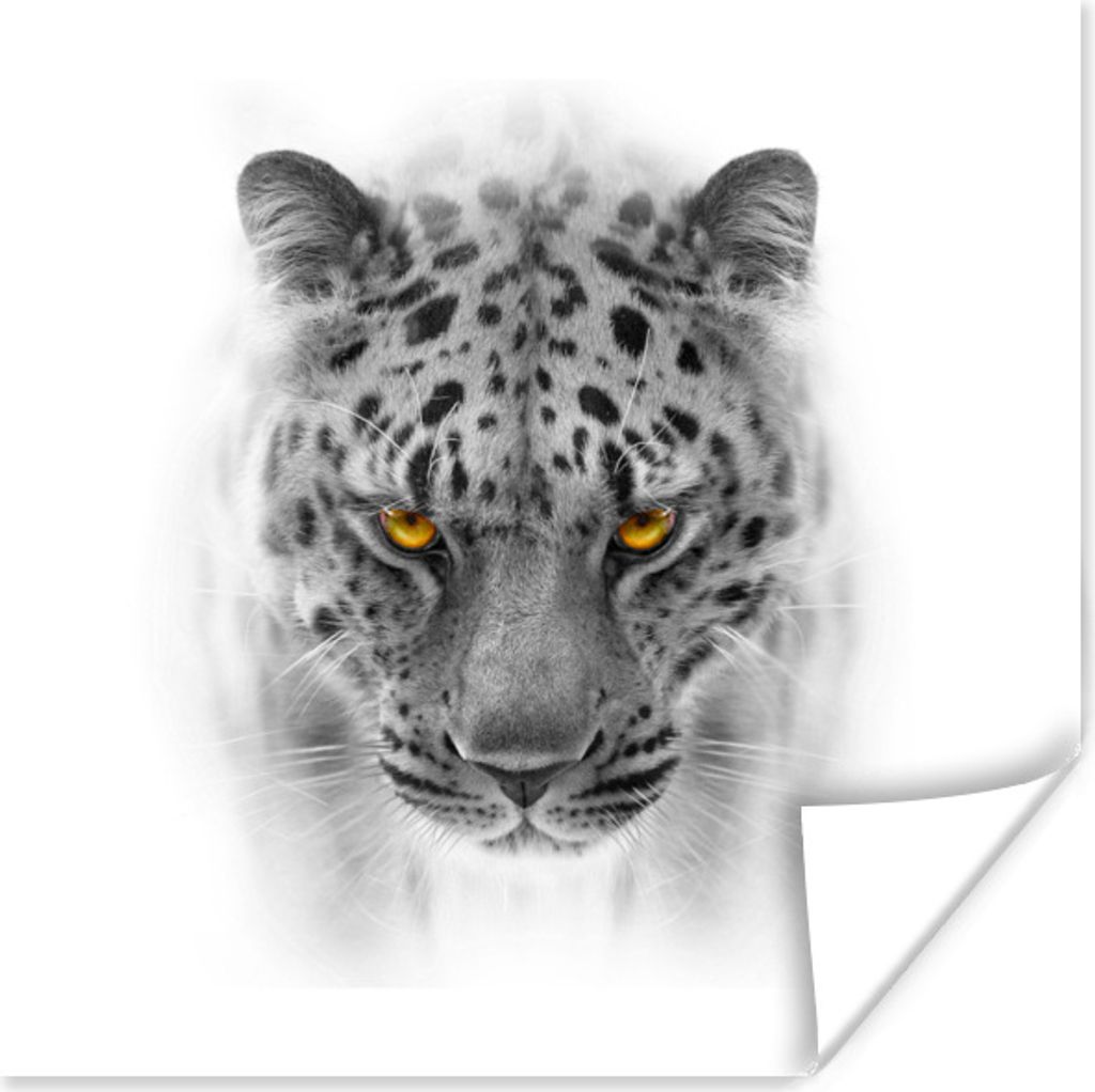 MuchoWow Poster Leopard - Schwarz - Weiß - Tiere 75x75 cm - Wand Dekoration