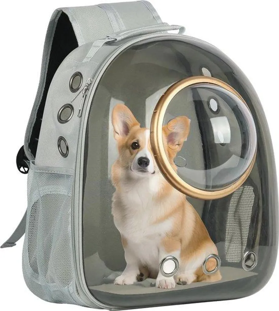 Sac chat respirant avec coque transparente et bretelles ergonomiques