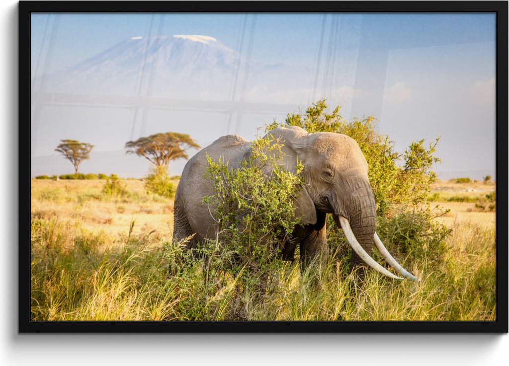 MuchoWow MuchoWow Gerahmtes Poster Elefant - Tiere - Gras - Grün - Berg 90x60 cm - Poster mit zchwarzem Bilderrahmen - Fotorahmen - Foto-Plakat
