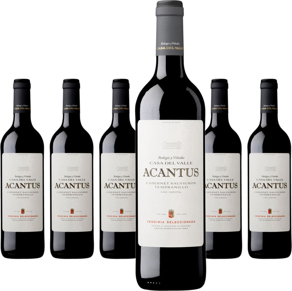 6 x Casa Del Valle Acantus Vendimia Seleccionada Tinto