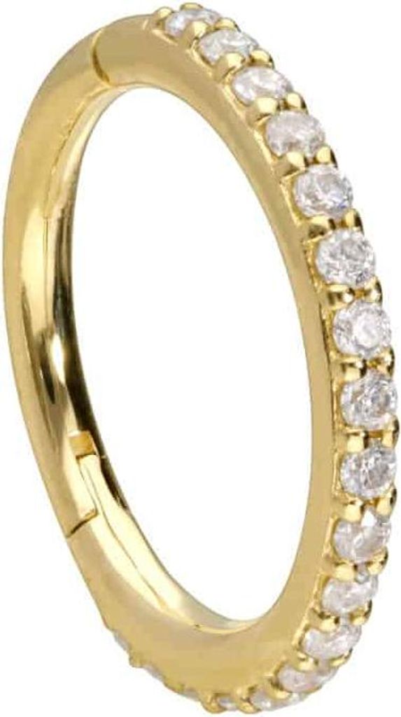 Ohrpiercing, Nasenpiercing, Septum Piercing 14/18 Karat Gold Segmentring Clicker EINGEFASSTE MOISSANITE 14 Karat | Gold Innendurchmesser: 9mm | Sta...