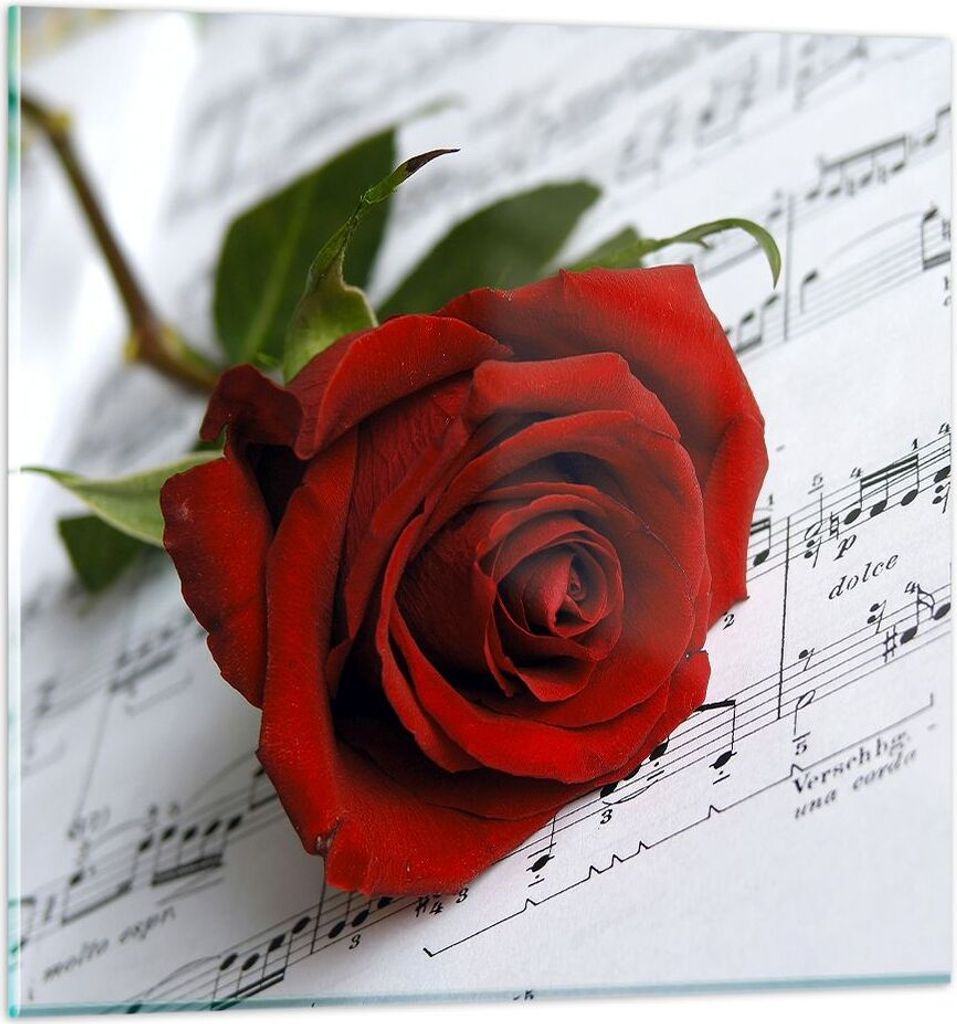 Bilder auf glas - Musik Rose Dekoration romantisch - 60x60cm - Glasbilder - Wandbilder - Kunstdruck - zum Aufhängen bereit - Wanddekoration aus Gl...