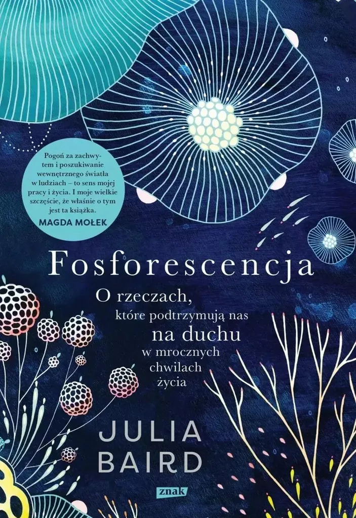 Livre de Littérature Polonaise pour Apprentissage et Études ZNAK Relié