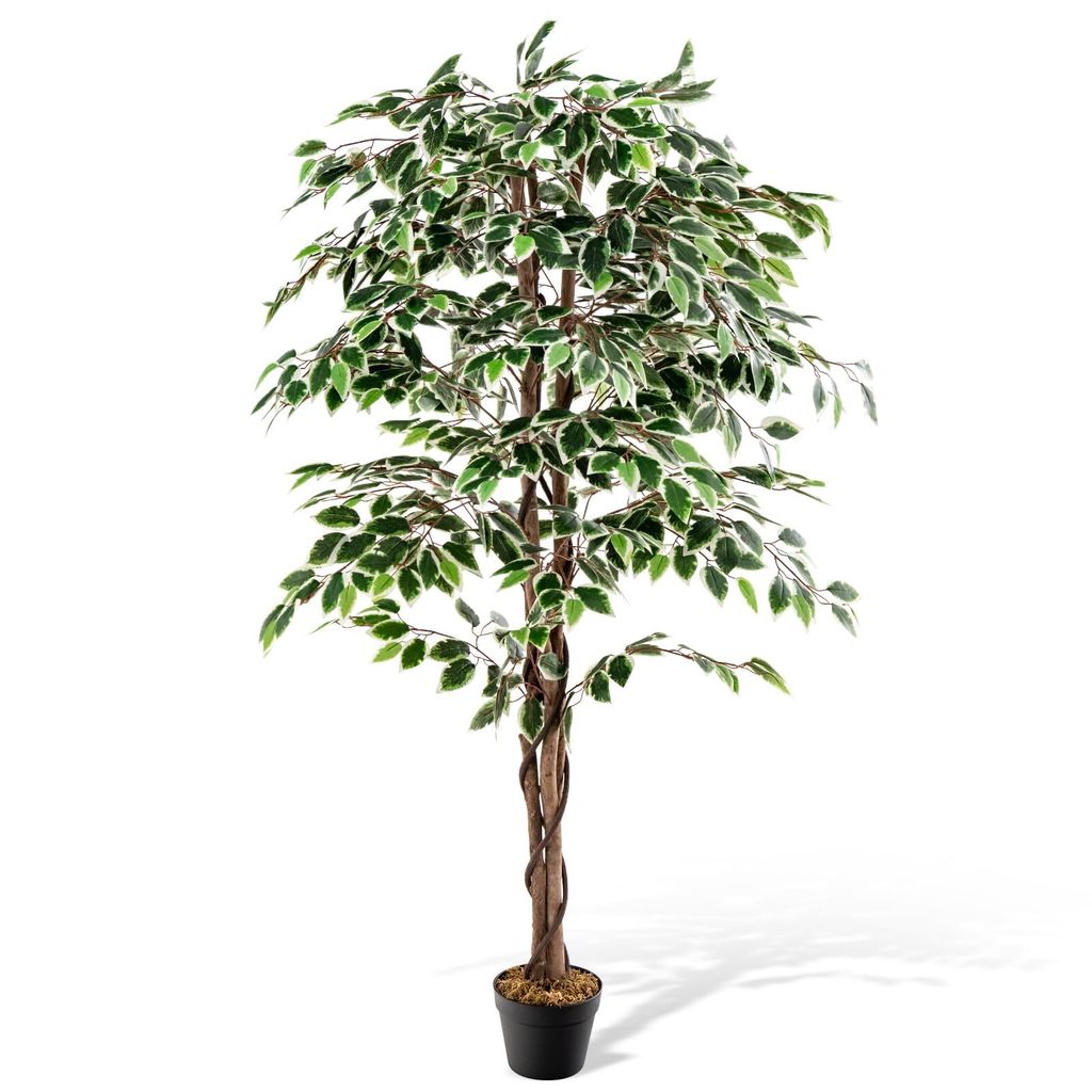 1,6 m künstlicher Ficusbaum, künstliche Zimmerpflanze mit grün-weißen Blättern, Naturstamm, Kunststofftopf & getrocknetem Moos, dekorative Fic...