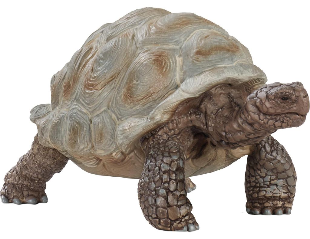 Schleich 14824 Wild Life tartaruga gigante Immagine del prodotto 