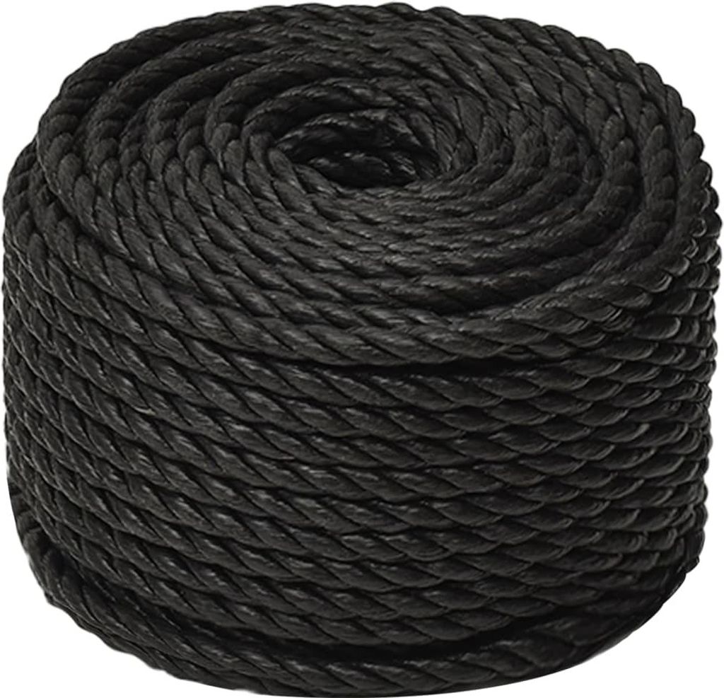 vidaXL Arbeitsseil Schwarz 20 mm 50 m Polypropylen Produktbild 
