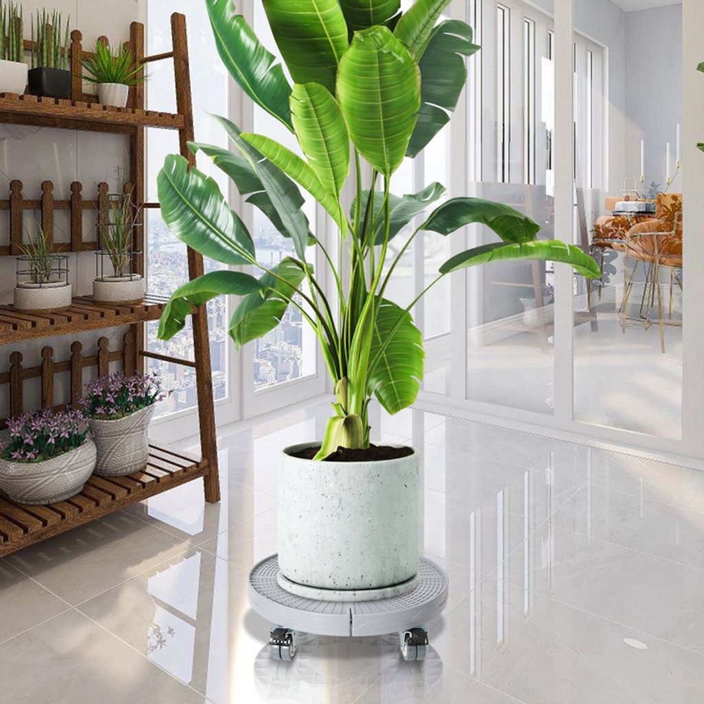 Jayseuw Pflanzenroller Blumenroller Untersetzer Mobiler Rollbrett Grau
