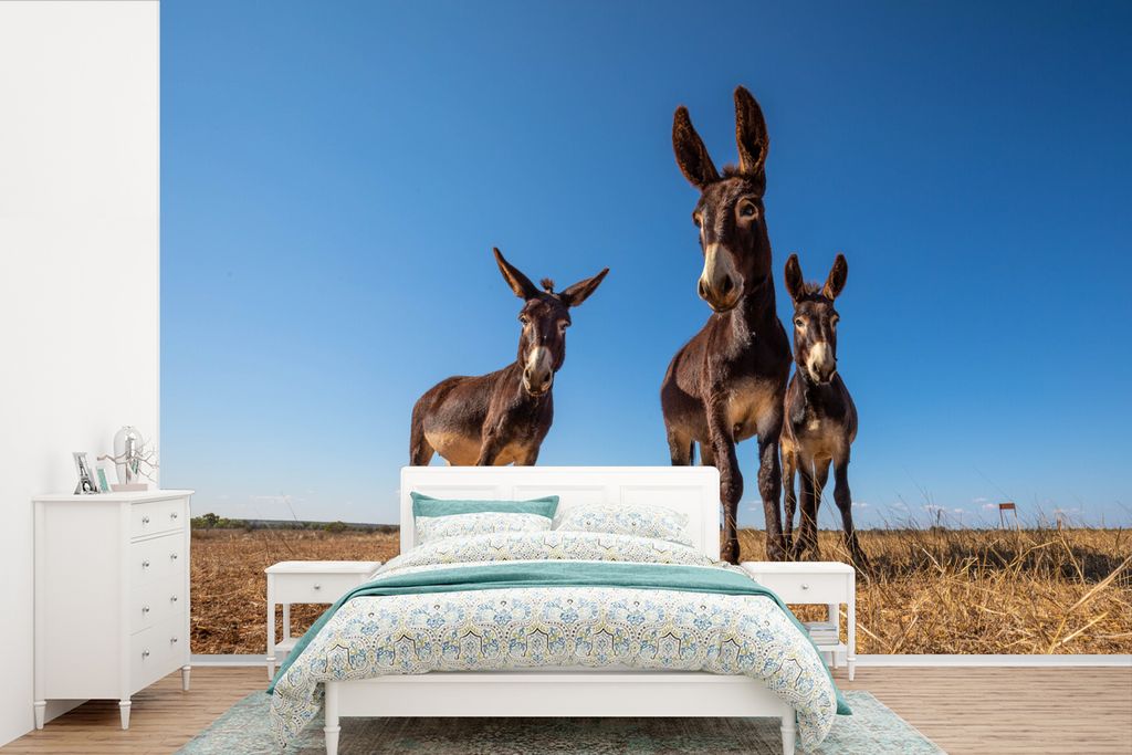 MuchoWow Fototapete für Wohnzimmer oder Schlafzimmer Wandtapete Vinyl Motivtapete Drei Esel in einer Landschaft - 525x350 cm - Das Hintergrundbild