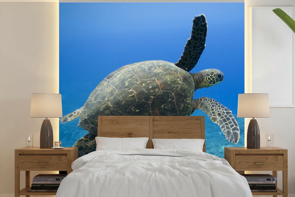 MuchoWow Fototapete für Wohnzimmer oder Schlafzimmer Wandtapete Vinyl Motivtapete Grüne schwimmende Schildkröte Fotodruck - 300x300 cm - Wandd...
