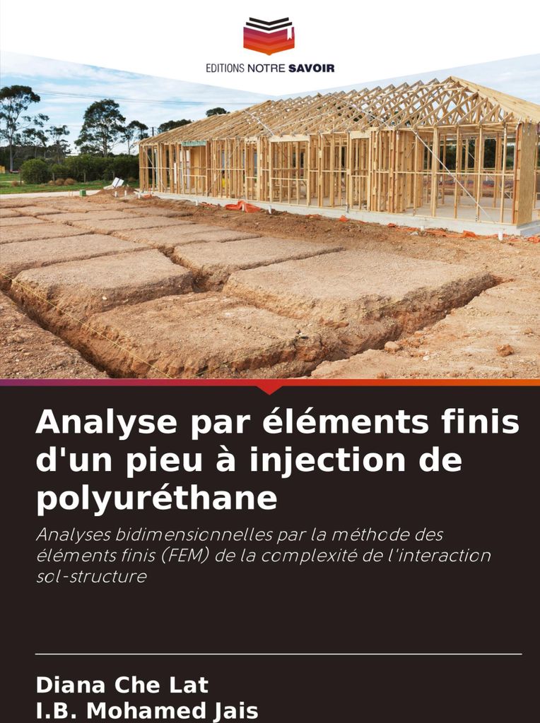 Analyse par éléments finis d'un pieu à injection de polyuréthane