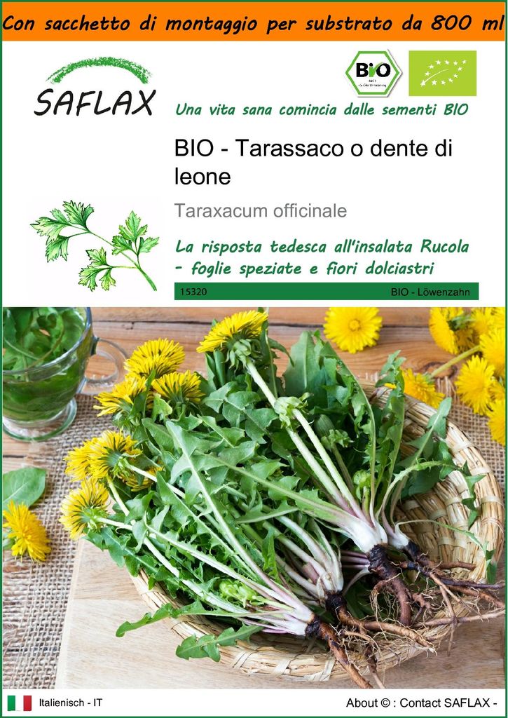 SAFLAX Garden in the bag -- Tarassaco o dente di leone - Immagine del prodotto 