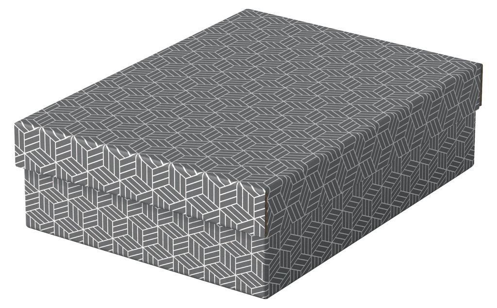 Esselte 628285 Dateiablagebox Karton Grau Produktbild 