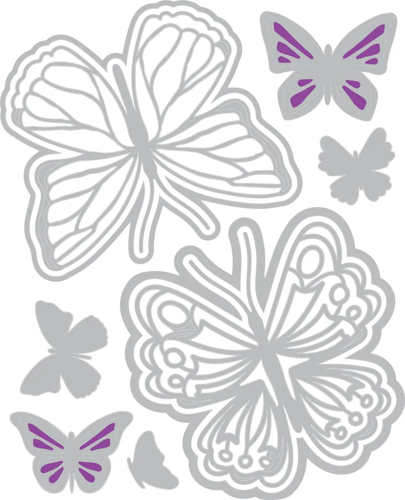Sizzix Thinlits 660822 Catherine Pooler Spring Wings Pochoir Découpe