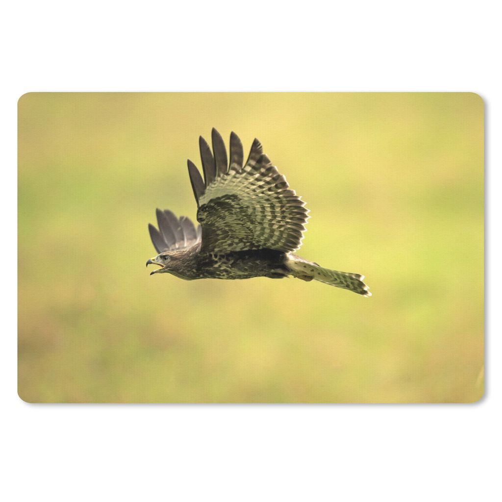 MuchoWow Schreibtischunterlage Ein Foto von einem tief fliegenden Bussard 60x40 cm - XXL Mauspad - Großes Mauspad