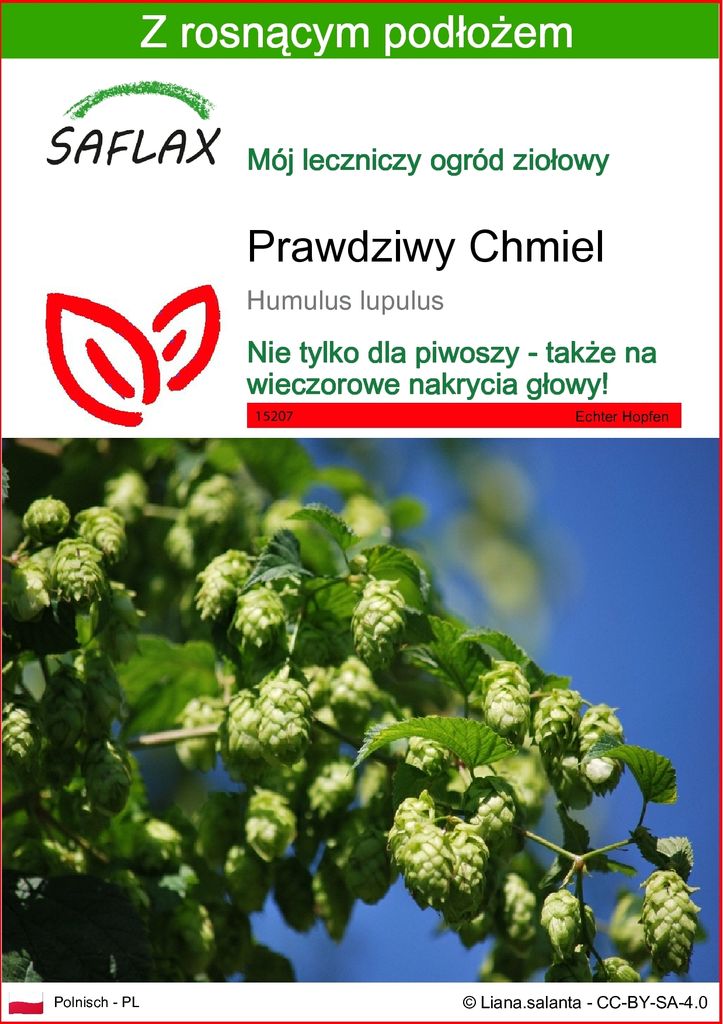 SAFLAX - Prawdziwy Chmiel - 50 Nasiona - Z podłożem Zdjęcie produktu 