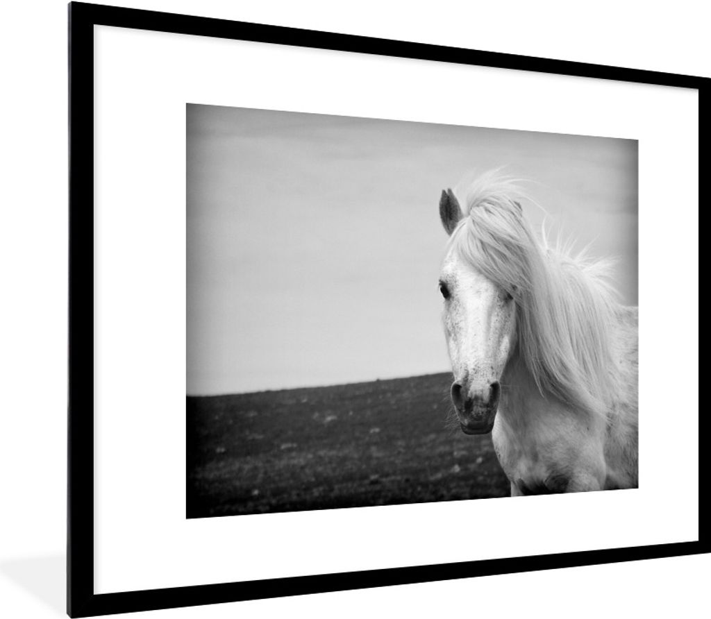 MuchoWow Gerahmtes Poster Porträt Pferd in schwarz und weiß 80x60 cm - Poster mit Schwarzem Bilderrahmen Wandposter Rahmen Foto Bilder - Schlaf...