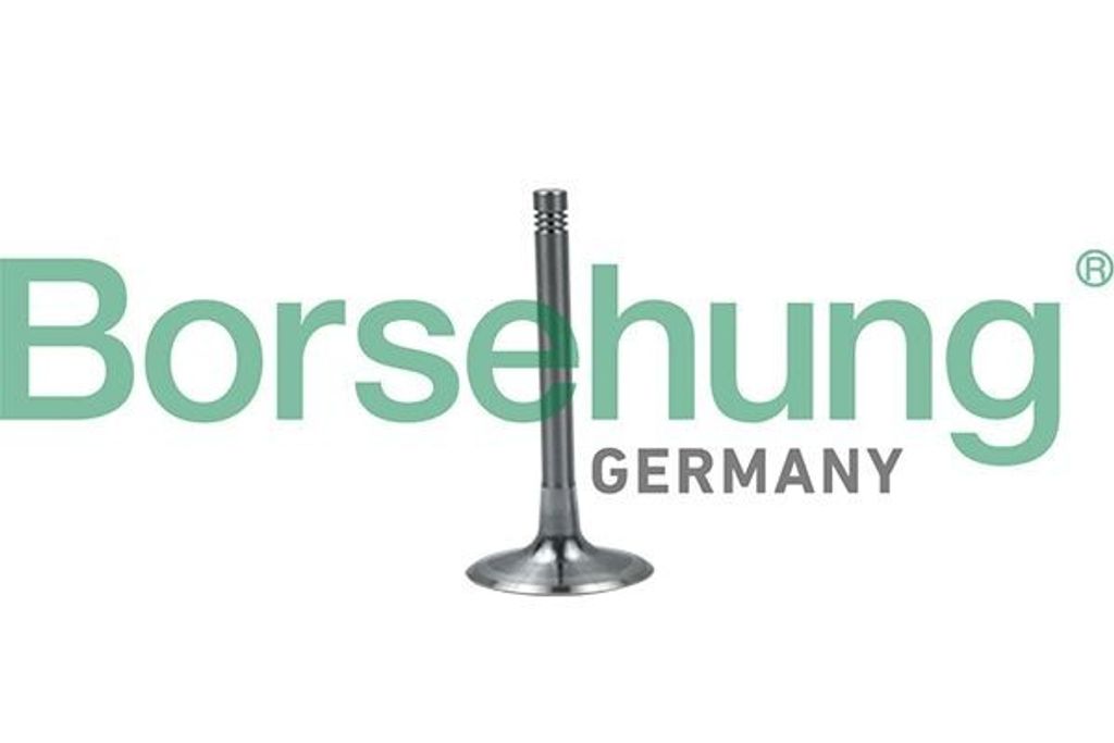 Borsehung B19028 Einlassventil für AUDI A6 Avant (4F5, C6)