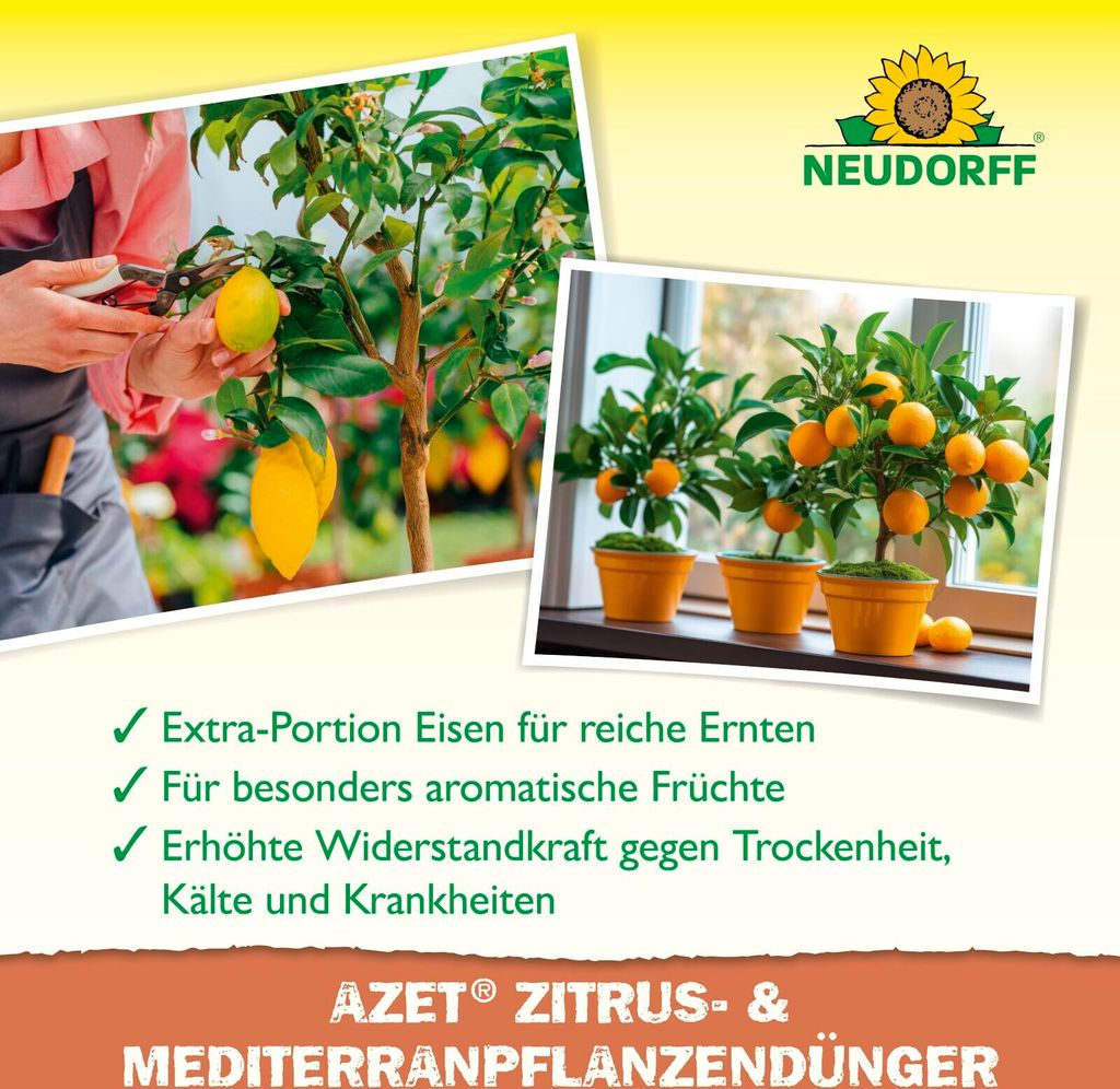 Neudorff Azet Trissol Zitrus- & Mediterranpflanzen Dnger