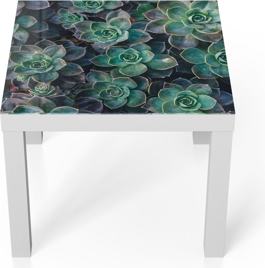 DEQORI Couchtisch 55x55 cm Weiß 'Sukkulente Pflanzen' Glas Beistelltisch