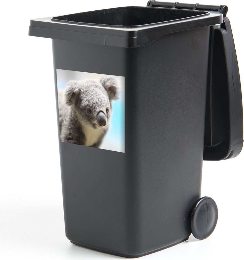 MuchoWow Mülltonnenaufkleber Koala - Porträt - Tier - Kinder - Jungen - Mädchen 40x40 cm - Abfall-Aufkleber - Container - für Abfallcontainer