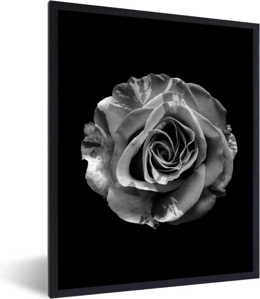 MuchoWow Gerahmtes Poster Blumen - Rose - Schwarz - Weiß - Botanisch 60x80 cm - Poster mit Schwarzem Bilderrahmen Wandposter Rahmen Foto Bilder ...
