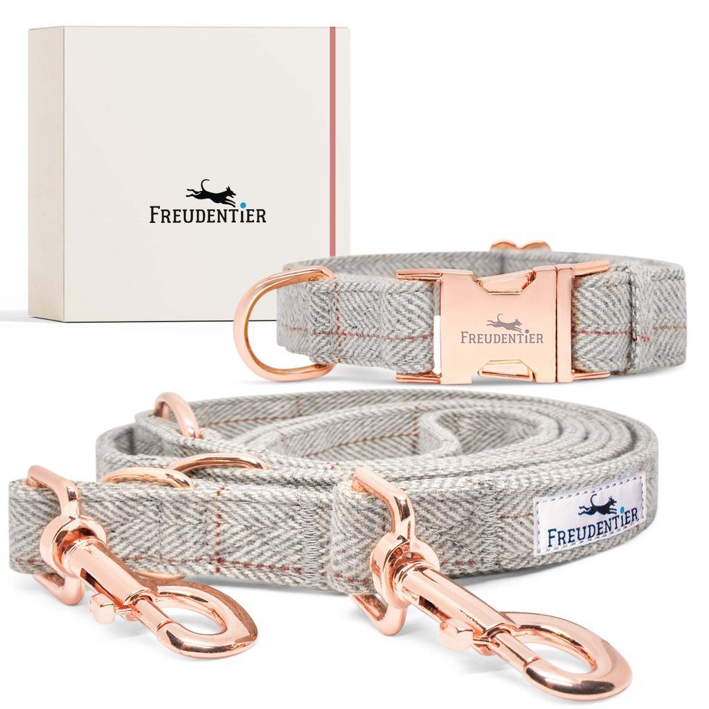 Hundehalsband und Hundeleine (2m) im Set - Classic Kollektion in edler Geschenkbox – 37-58cm Halsumfang