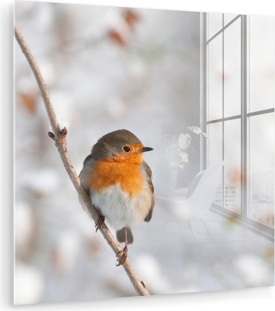MuchoWow Glasbilder - Bilder auf Wandbild - Foto auf Glas Vogel - Rotkehlchen - Winter 20x20 cm Wanddekoration aus Glas - Acrylglasbild - Acrylbild...