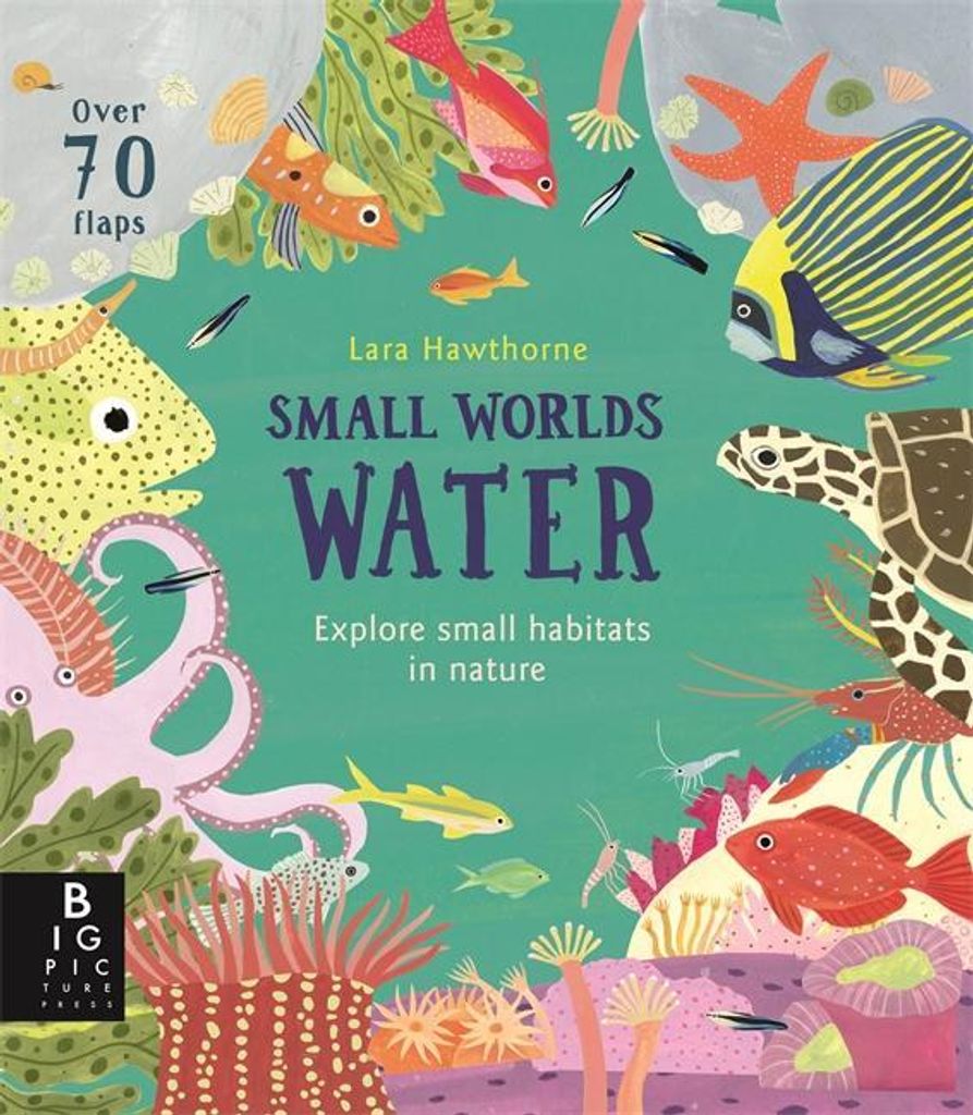 Small Worlds Water – Lingua: Inglese