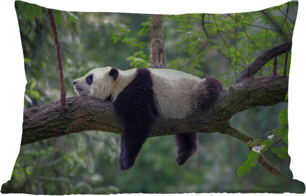MuchoWow Outdoor Kissen - Panda - Baum - Tiere - Natur - 60x40 cm - Wetterfest - Lounge Kissen - Zierkissen - Kissen für Innenräume