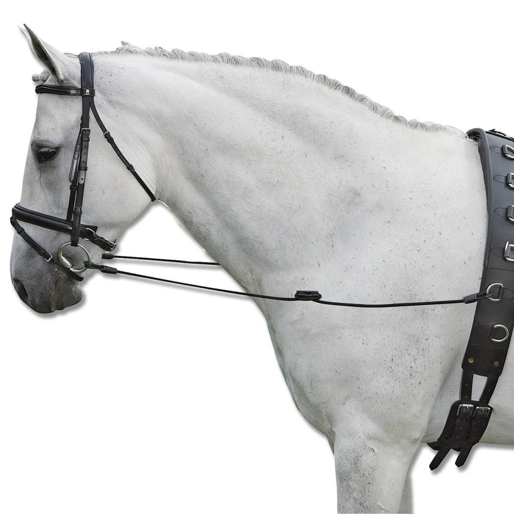 Rênes de débridage Elastic noir contre les coups de tête du cheval