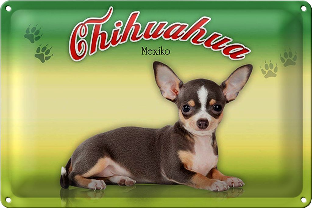 Blechschild Hund 18x12cm Chihuahua Mexiko Wanddeko