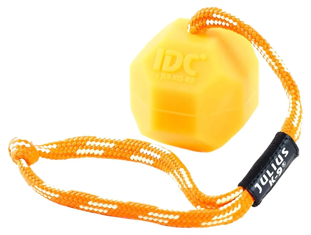 Jouet de Rapport Julius K-9 Balle 60 mm Orange pour Dressage Canin