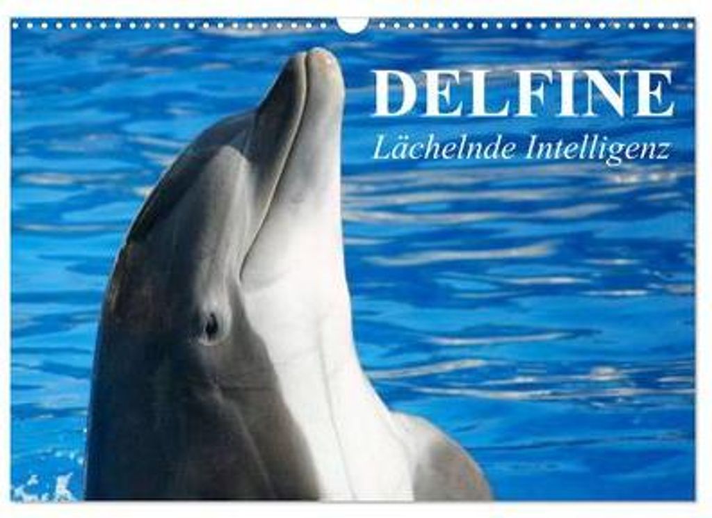Delfine - Lächelnde Intelligenz (Wandkalender 2026 DIN A3 quer), CALVENDO Monatskalender