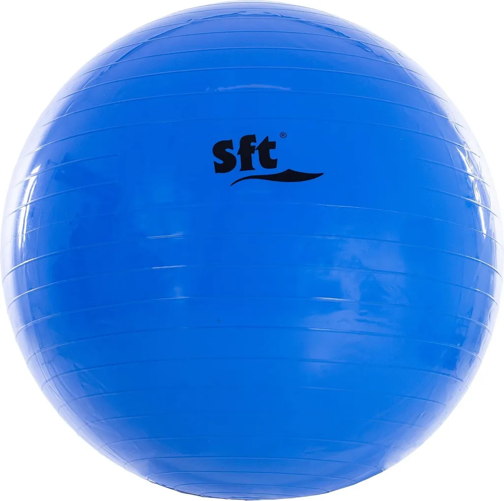 Ballon Géant Bleu Softee - Corrigez votre Posture et Soulagez votre Dos